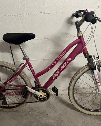 Bicicletta mountain bike