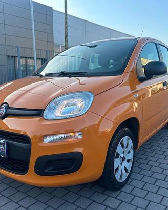 FIAT - Panda - 1.2 Easy