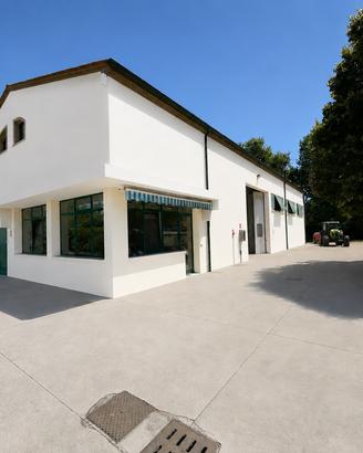 Capannone artigianale 500 mq  Rubano  PD