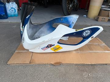 Carene vetroresina r6