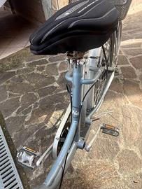 bicicletta elettrica a pedalata assistita Wo