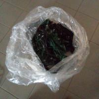 cordoni luci natalizie