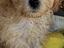 Immagine 6