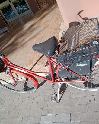 bici bottecchia
