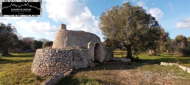 LAMIA DELL' ULIVO con TERRENO 7000mq - OSTUNI