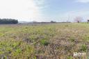 terreno-agricolo-san-giovanni-in-marignano