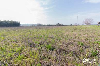 Terreno Agricolo San Giovanni in Marignano