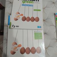 libro di fisica Quantum green