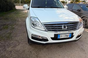 Rexton W