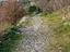 Immagine 6