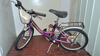 Bicicletta da femmina 20" completa