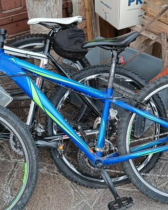 bici da ragazza