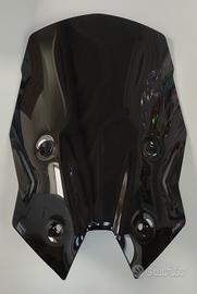 cupolino BMW R 1250 RS