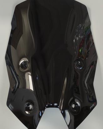 cupolino BMW R 1250 RS