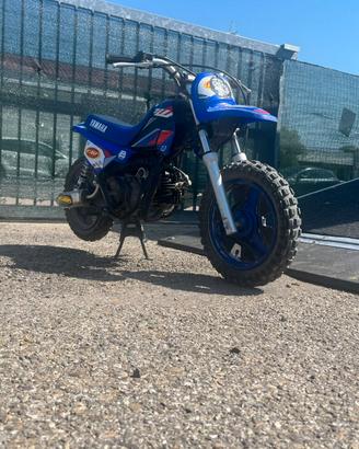 YAMAHA pw50
