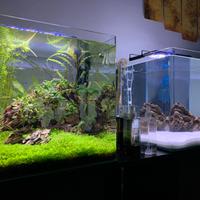 Due Acquari Completi (filtri, luci, riscaldatori)