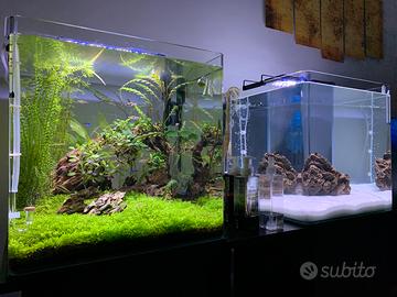 Due Acquari Completi (filtri, luci, riscaldatori)