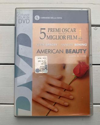 Film DVD Video American Beauty Serata Cinema