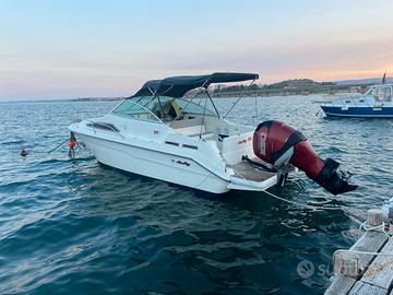 Sea ray 220 verado 250