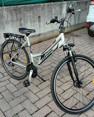 Bicicletta da donna