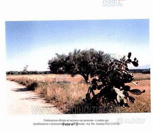 Terreno Agricolo Monastir [A297579]