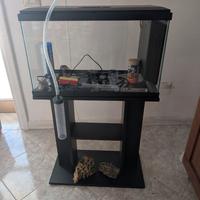 Acquario Ciano Aqua Led 60 litri