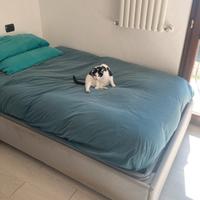 Letto contenitore 1piazza1/2