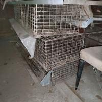 gabbia per allevamento conigli