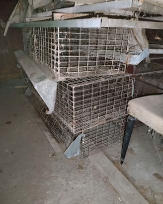 gabbia per allevamento conigli