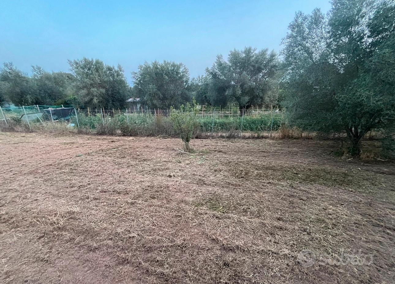 Terreno agricolo - Vista 5