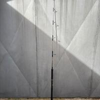 Tenryu Jigging pesca