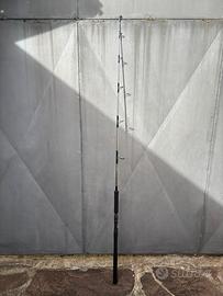 Tenryu Jigging pesca