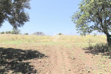 TER. AGRICOLO A ISOLA DI CAPO RIZZUTO