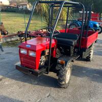 MOTOAGRICOLA DURSO MOTORE BICILINDRICO 17CV