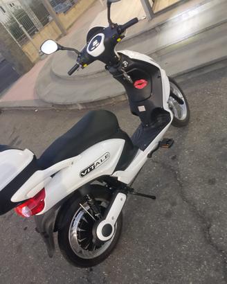 Motorino elettrico vitale