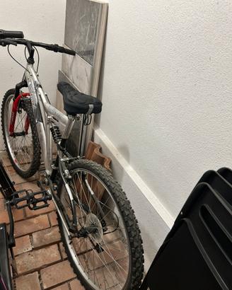 Bicicletta per ragazzo/a