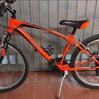 MTB 26 POLLICI 