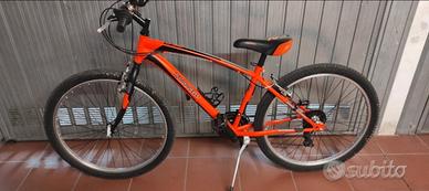 MTB 26 POLLICI 