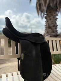 Sella per cavallo e redini da calesse