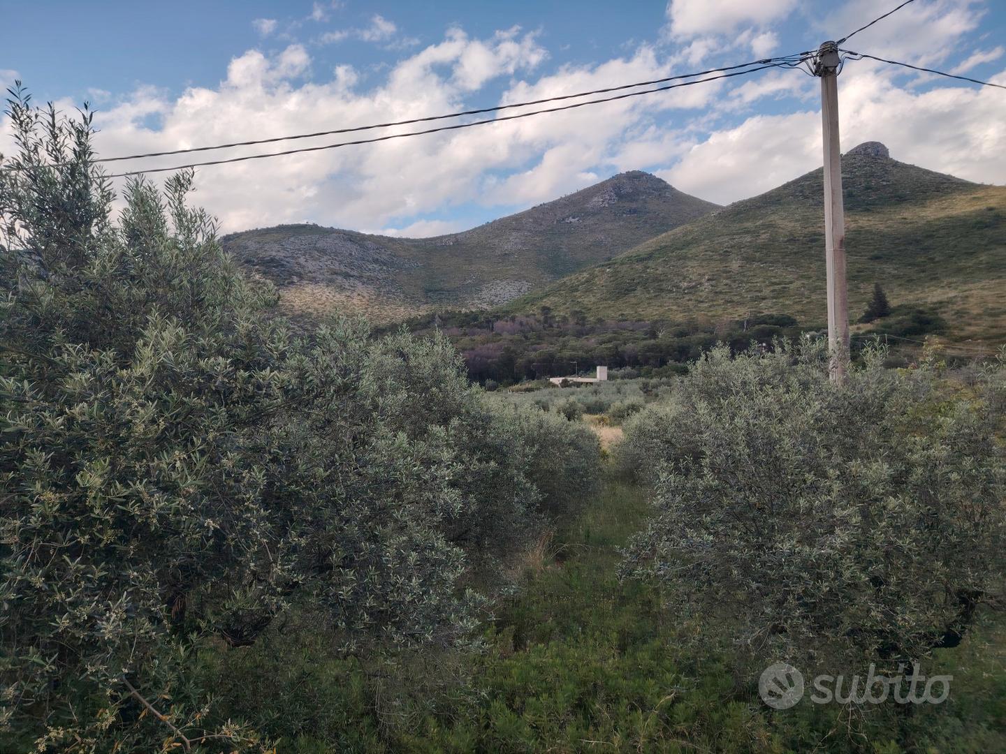 Terreno Agricolo - Vista 3