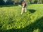 Immagine 3