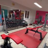 Palestra completa
