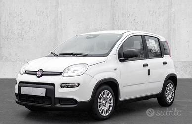 FIAT Panda 1.0 70CV FireFly S&S Hybrid