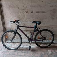 Bici da Uomo da Città con Marce