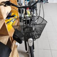 Bici elettrica