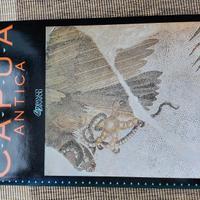 Libro Capua Antica 