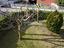 Immagine 21