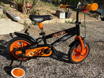 Bicicletta