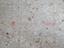 Immagine 8