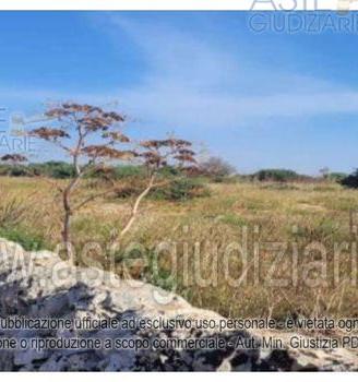 Terreno Agricolo Ispica [A4349723]